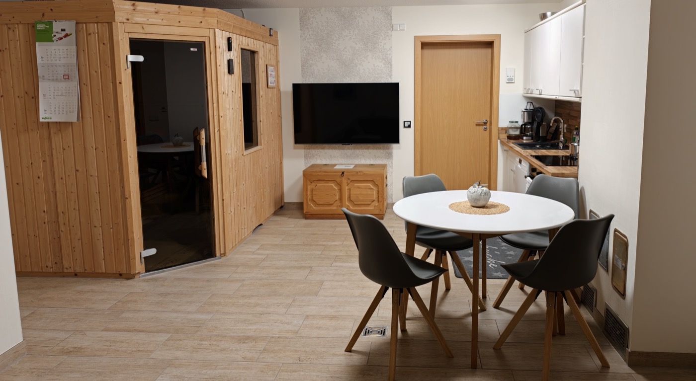 Blick in den Wohnbereich: links die Sauna, in der Mitte der Fernseher, rechts die Küchenzeile